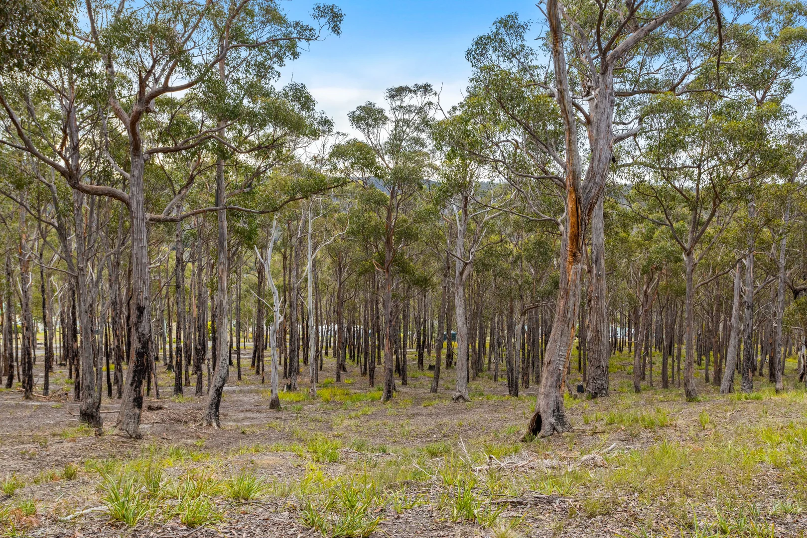 Additional image 4 of 90 Hackford Drive, Kingston TAS 7050