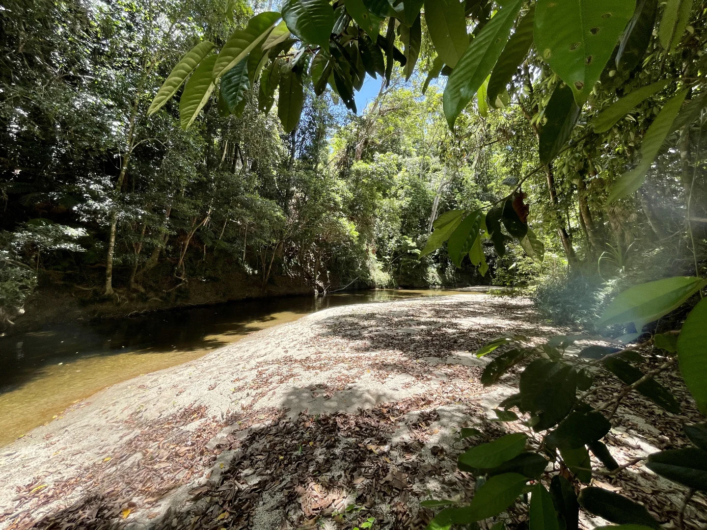 Additional image 12 of Lot 5 Whyanbeel Road, Whyanbeel, Mossman QLD 4873