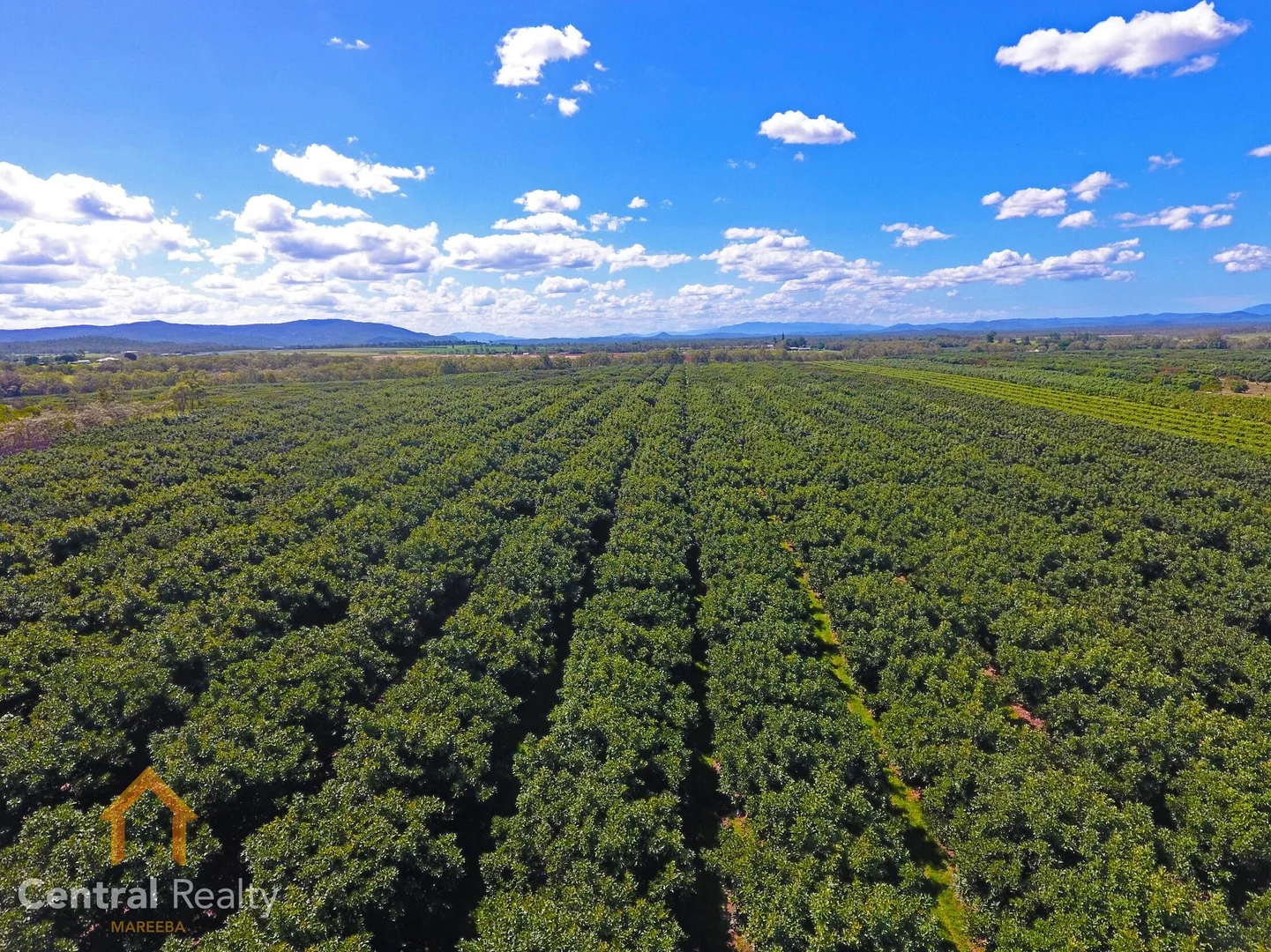 Additional image 25 of 44 Carman Road, Mareeba QLD 4880