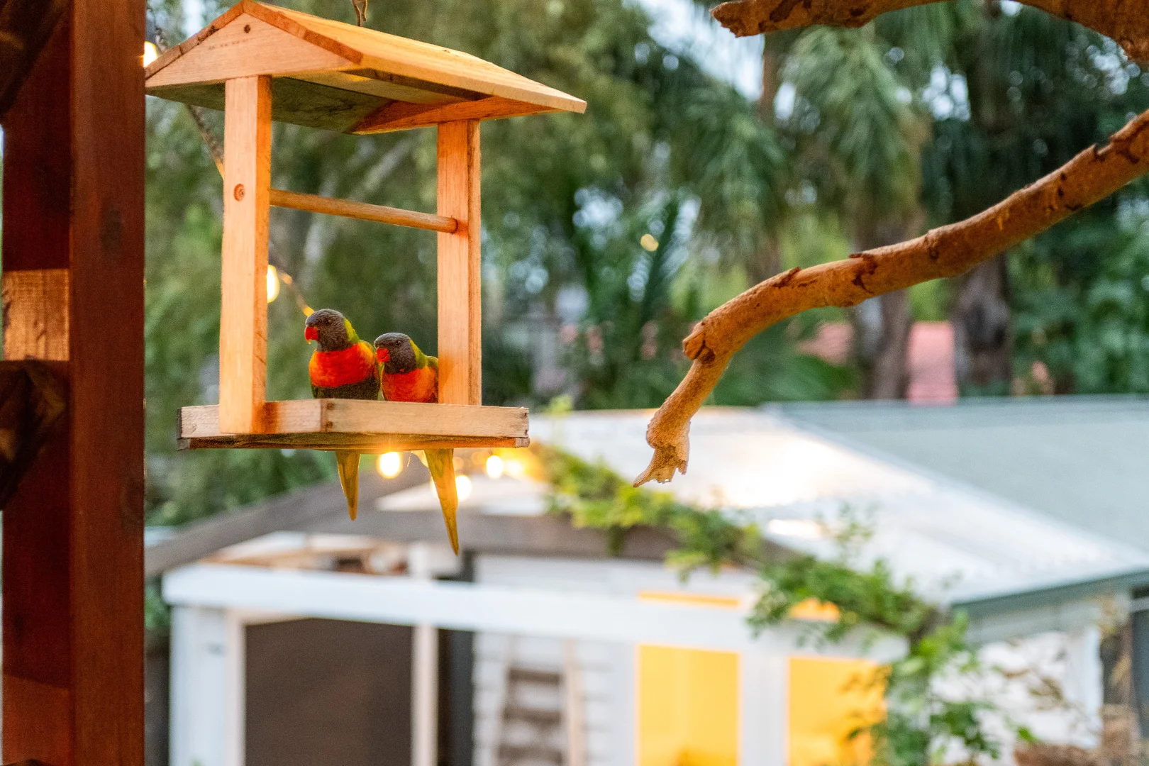 Additional image 20 of 36 Fellowes Street, Seaford VIC 3198