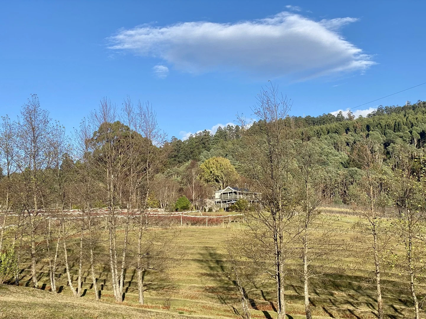 Additional image 33 of 304 Dickensons Creek Road, Glen Huon TAS 7109