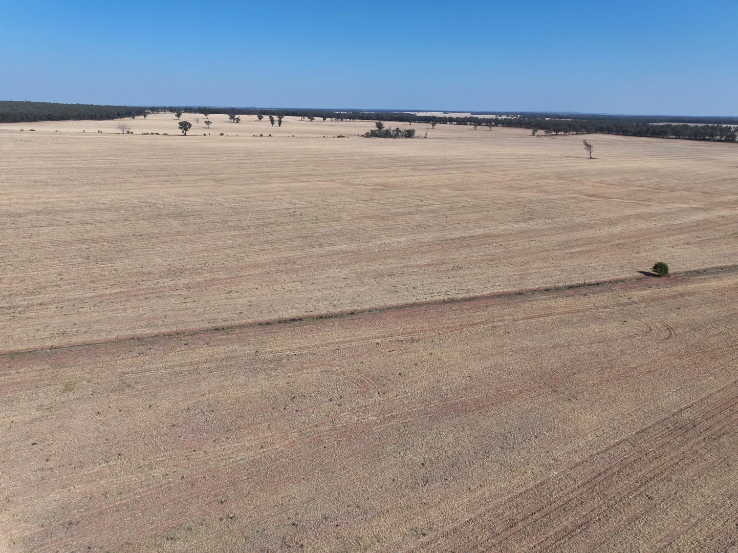 Additional image 7 of 'Wattlevale' 875 Schmidts Lane, Gidginbung NSW 2666