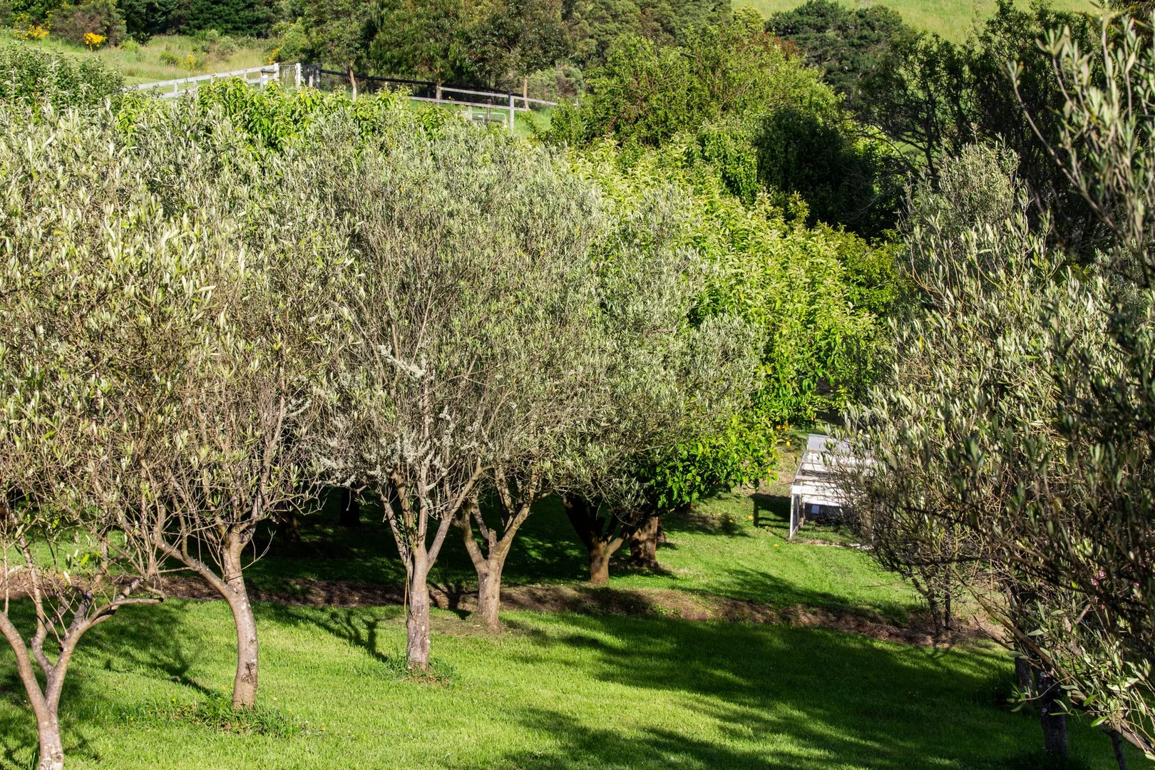 Additional image 36 of 3100 South Gippsland Highway, Foster North VIC 3960