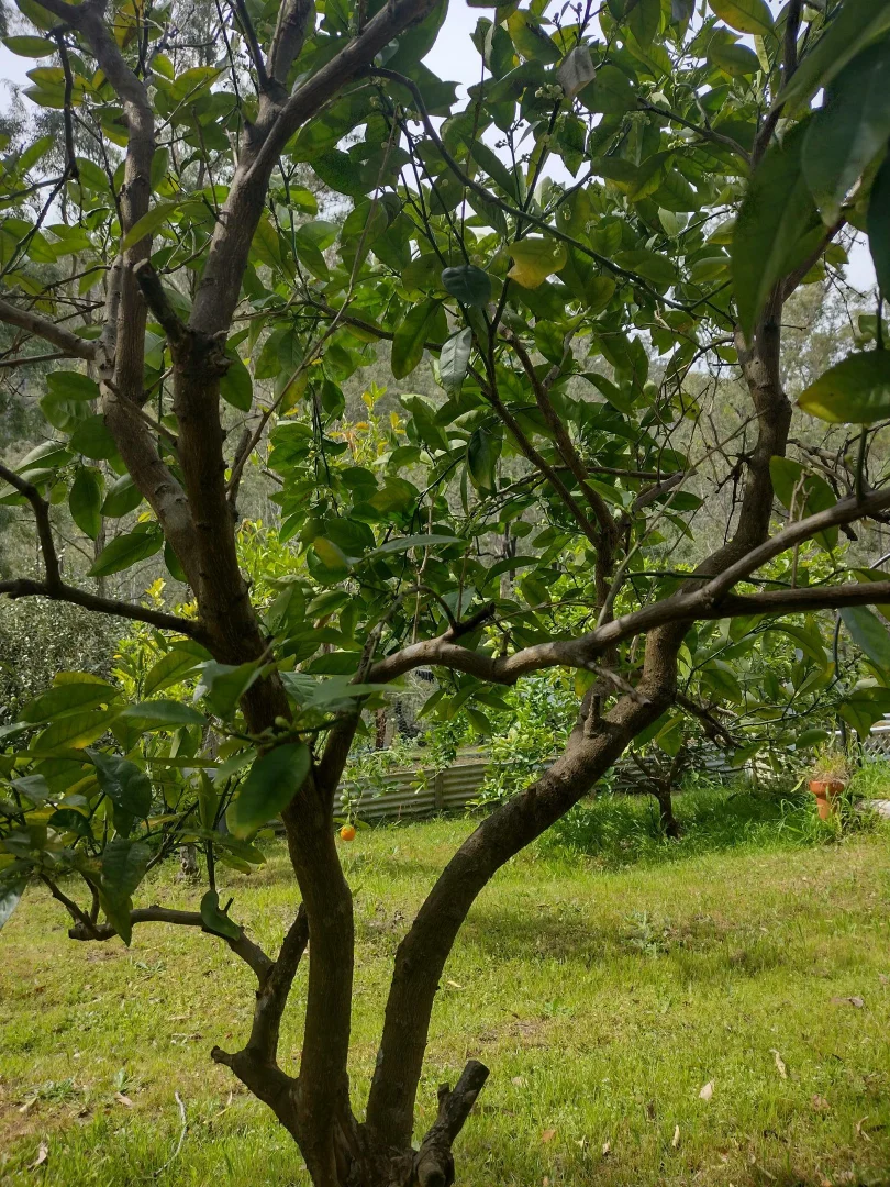 Additional image 26 of 75 L3 Private Access, Laguna NSW 2325