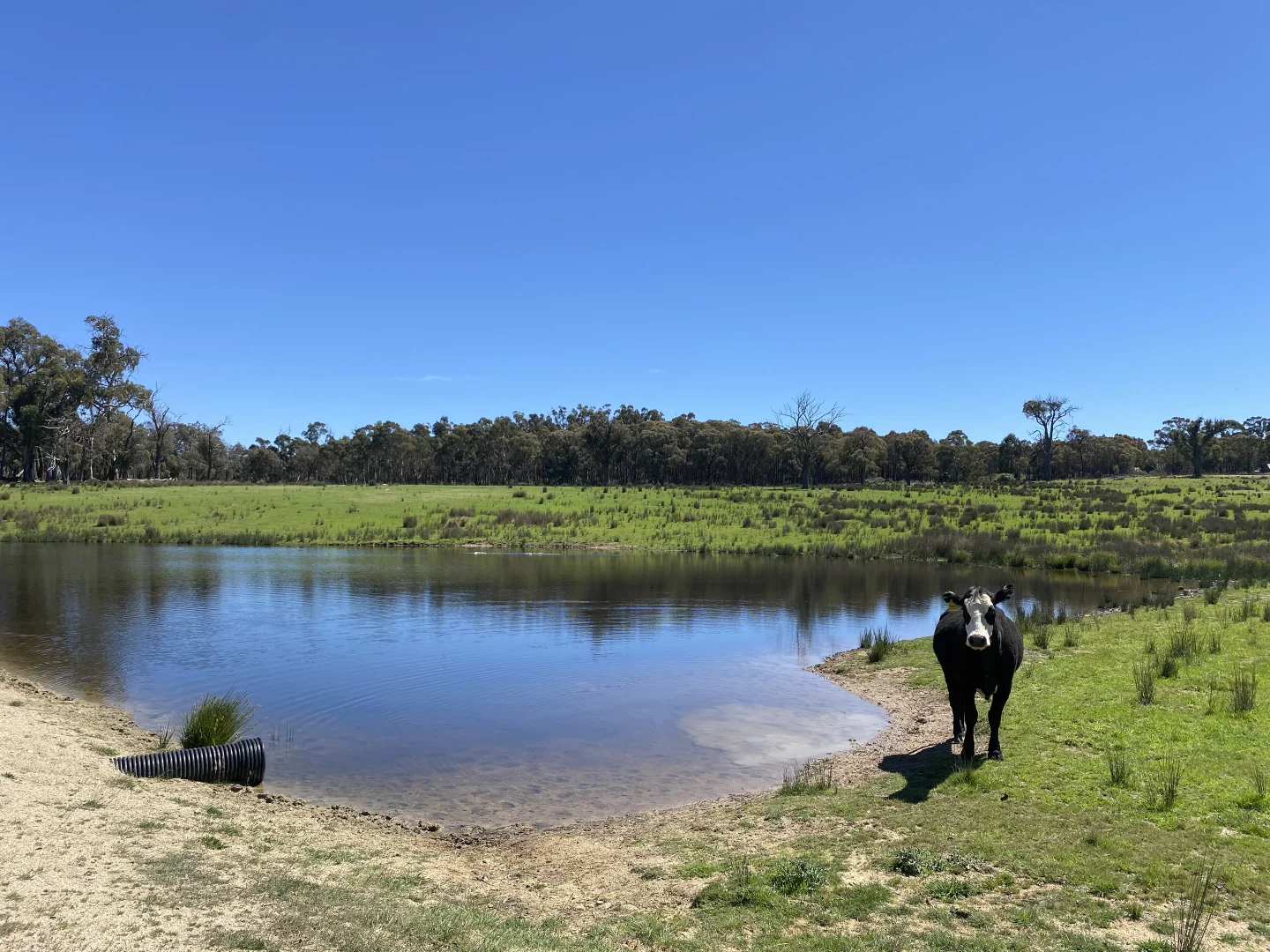 Additional image 4 of 1709 Bigga Road, Bigga NSW 2583