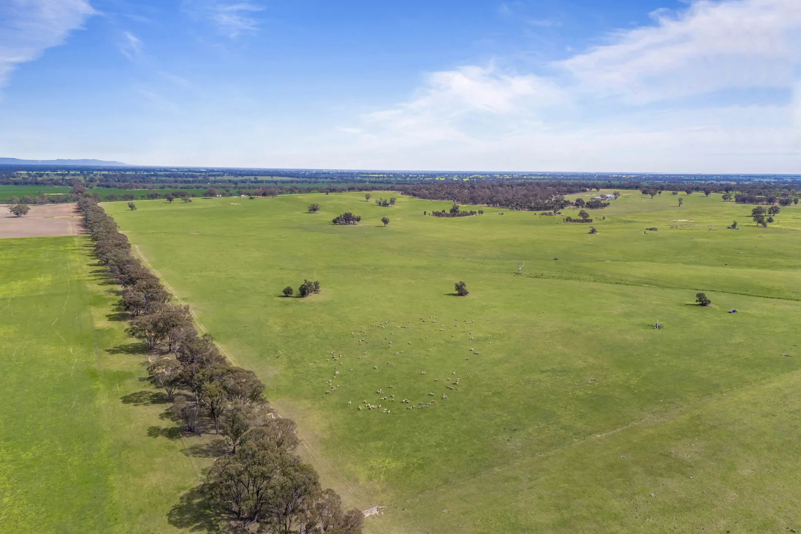 Additional image 15 of 140 Pearce Road, Campbells Bridge VIC 3387