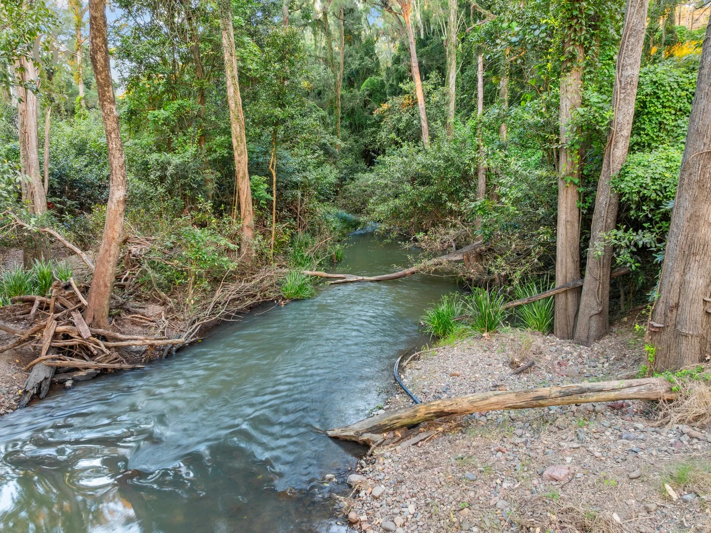 1207 Kandanga Creek Road, Upper Kandanga QLD 4570