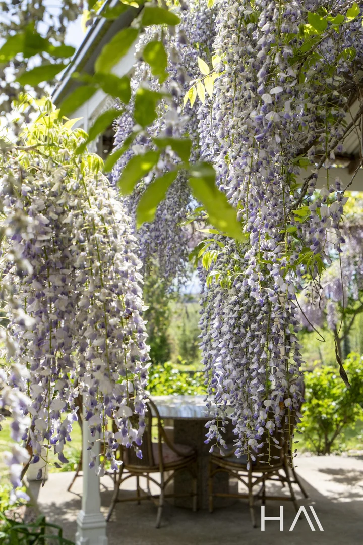 Additional image 26 of 14106 Tasman Highway, Swansea TAS 7190