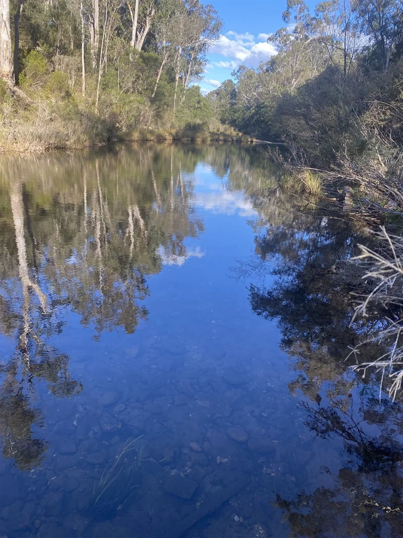 Additional image 6 of 138 Elliot Road, Valencia Creek VIC 3860
