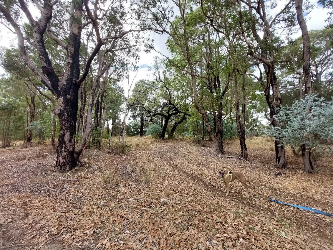 Additional image 12 of Lot 9003 Barrington Knight Road, Yarloop WA 6218