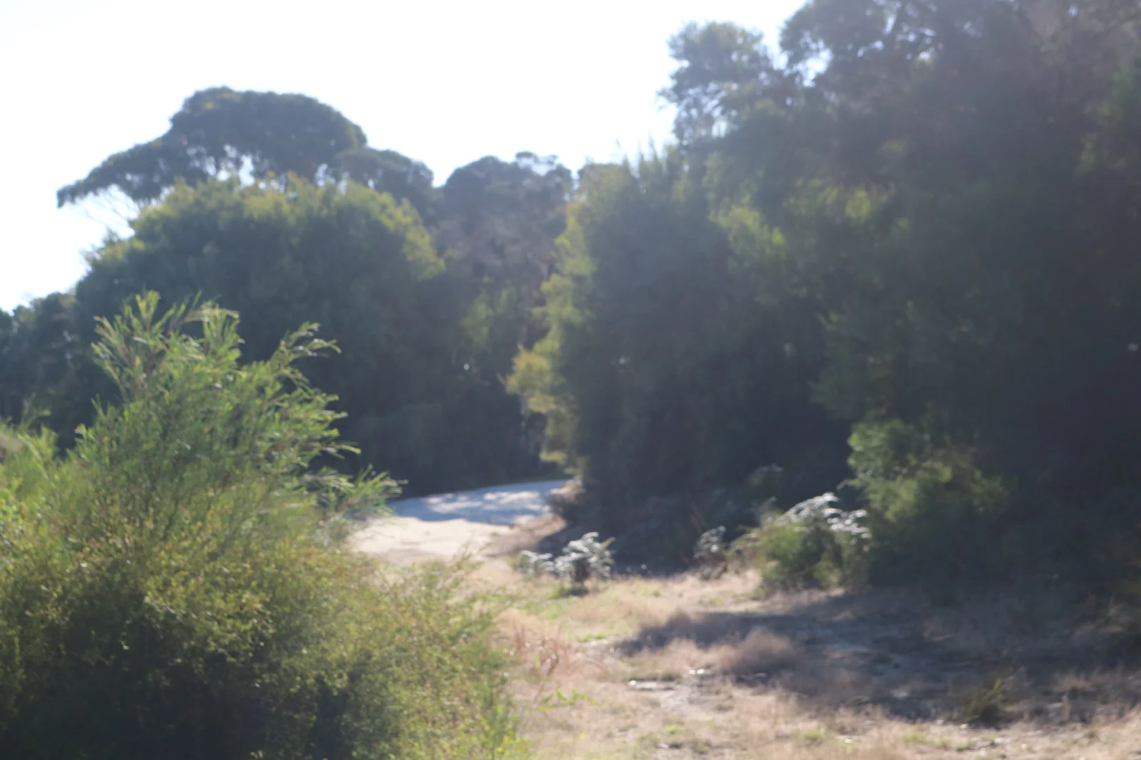 Additional image 12 of 4 Barr Street, Lady Barron TAS 7255