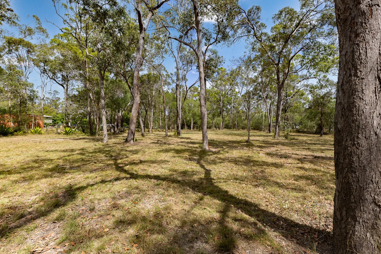 Additional image 4 of 118 Pacific Haven Circuit, Pacific Haven QLD 4659