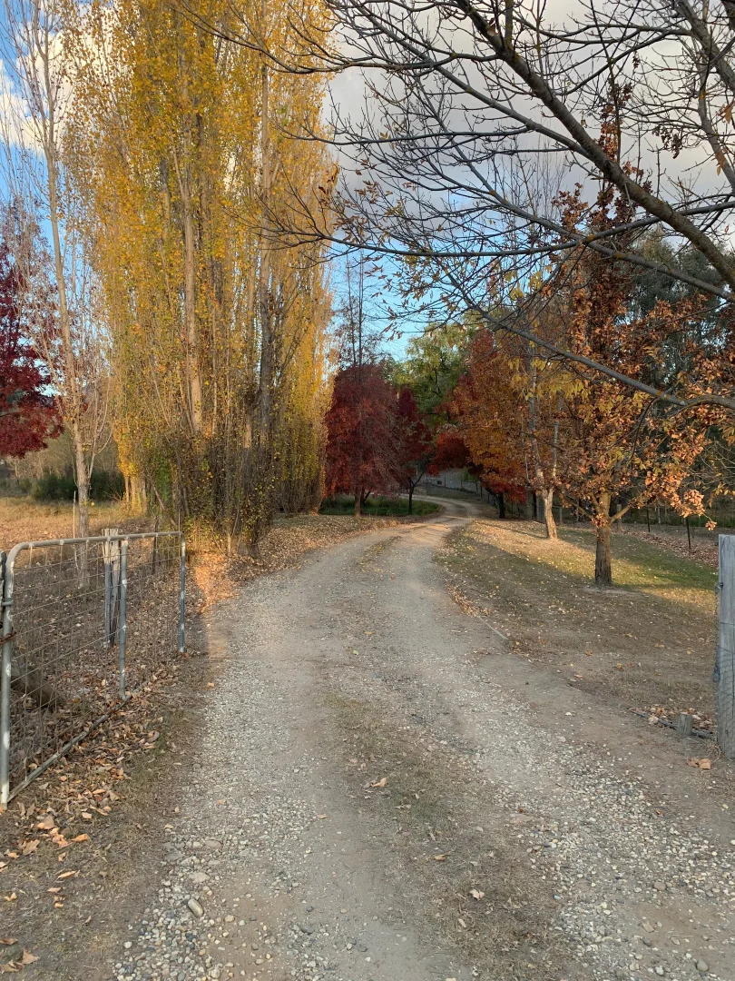 Additional image 14 of 6 Craven Road, Allans Flat VIC 3691