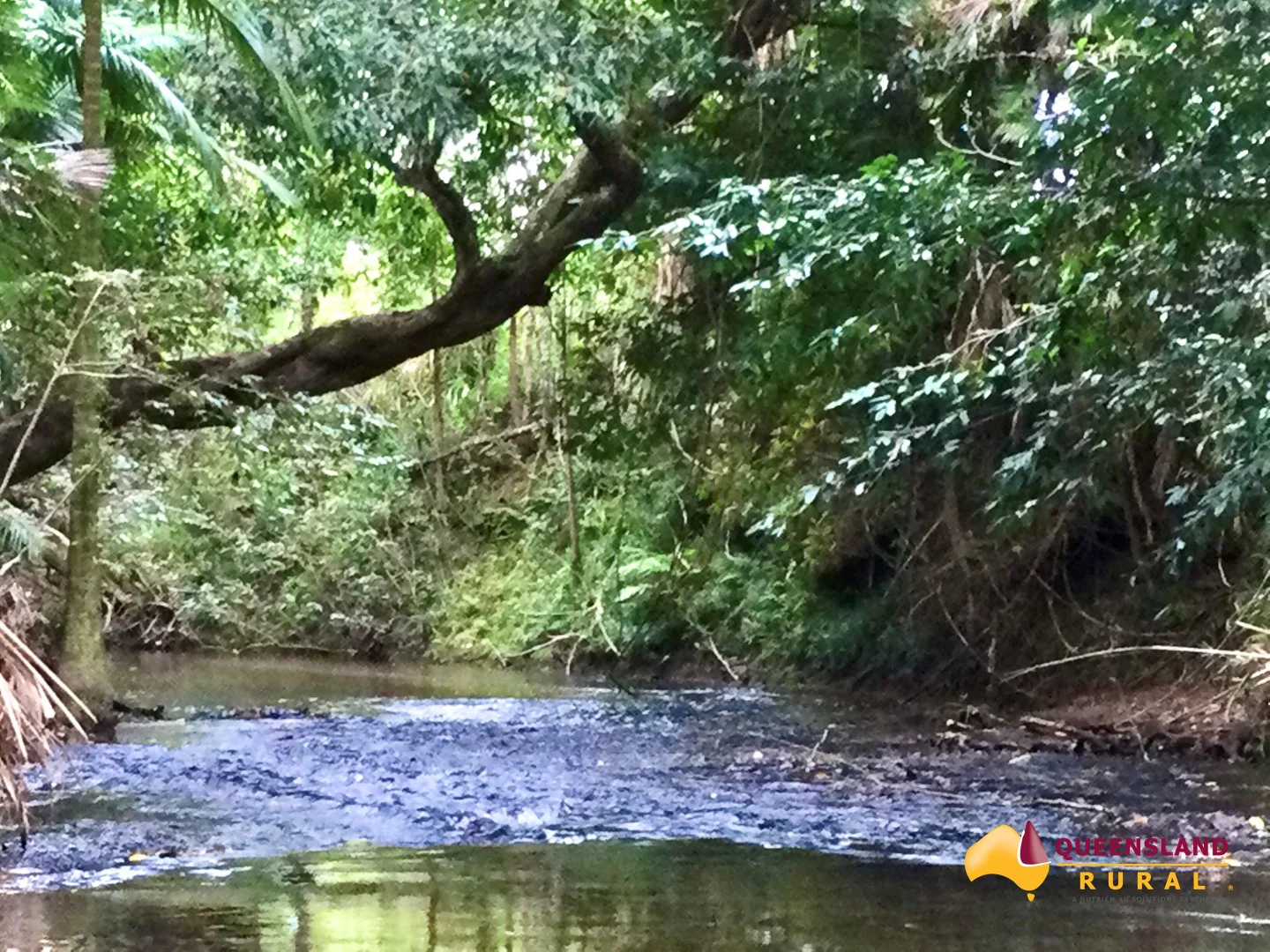 Additional image 5 of Bombeeta QLD 4871