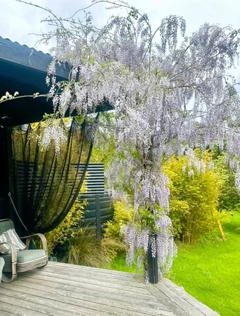 Additional image 20 of 1409 Birregurra Deans Marsh Road, Deans Marsh VIC 3235