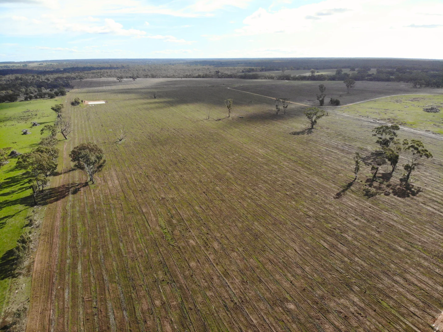 Additional image 3 of Dergholm VIC 3312