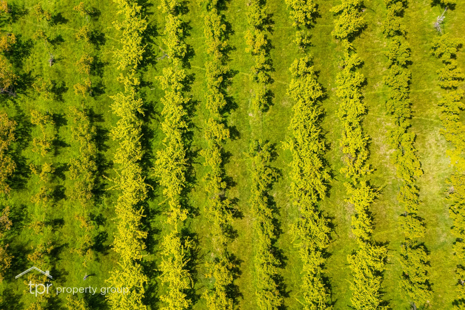 Additional image 10 of Lot 1 Braeside Road, Franklin TAS 7113