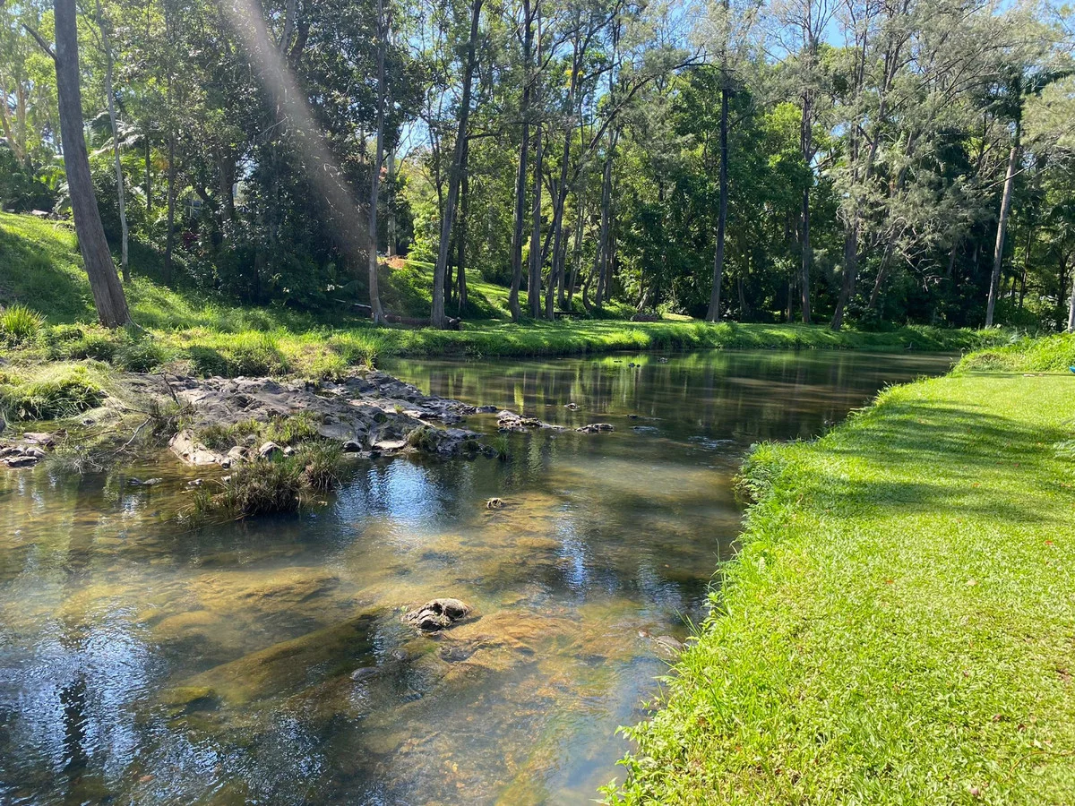 Additional image 18 of 557 Tallebudgera Creek Road, Tallebudgera Valley QLD 4228