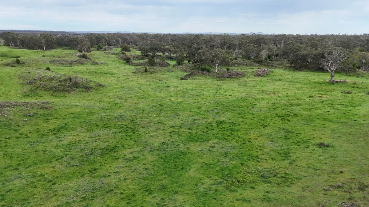 Additional image 15 of 250 Scoullers Road, Stonyford VIC 3260