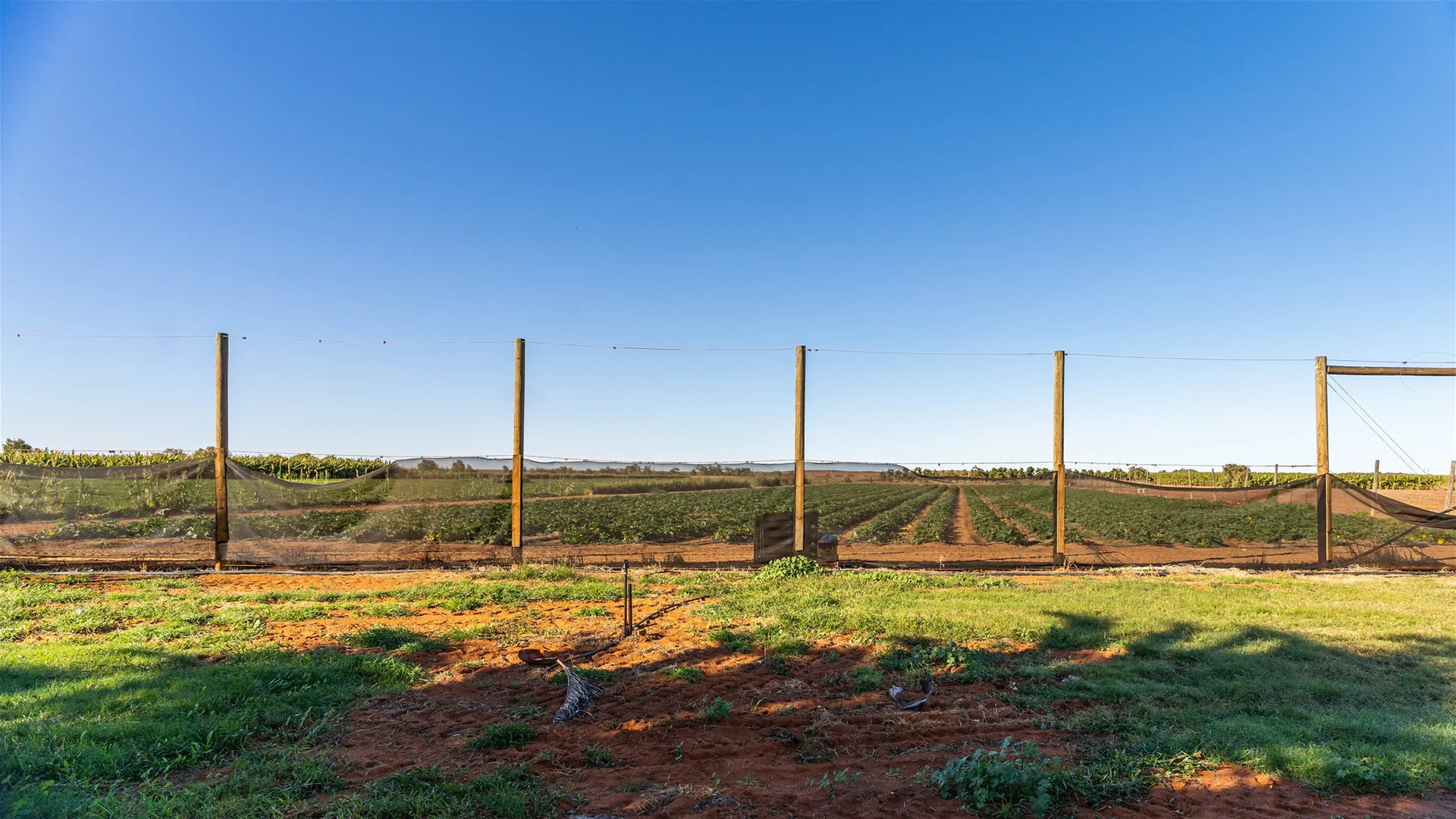 Additional image 10 of 124 South River Road, South Plantations WA 6701