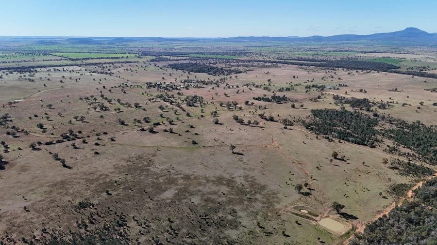 Additional image 12 of 125-291 GOORIANAWA ROAD, Mount Tenandra NSW 2828