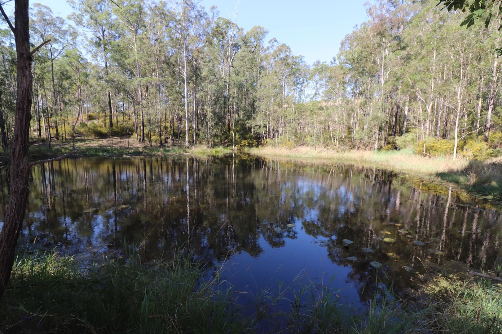 Lot 41 Collombatti Road, Collombatti NSW 2440