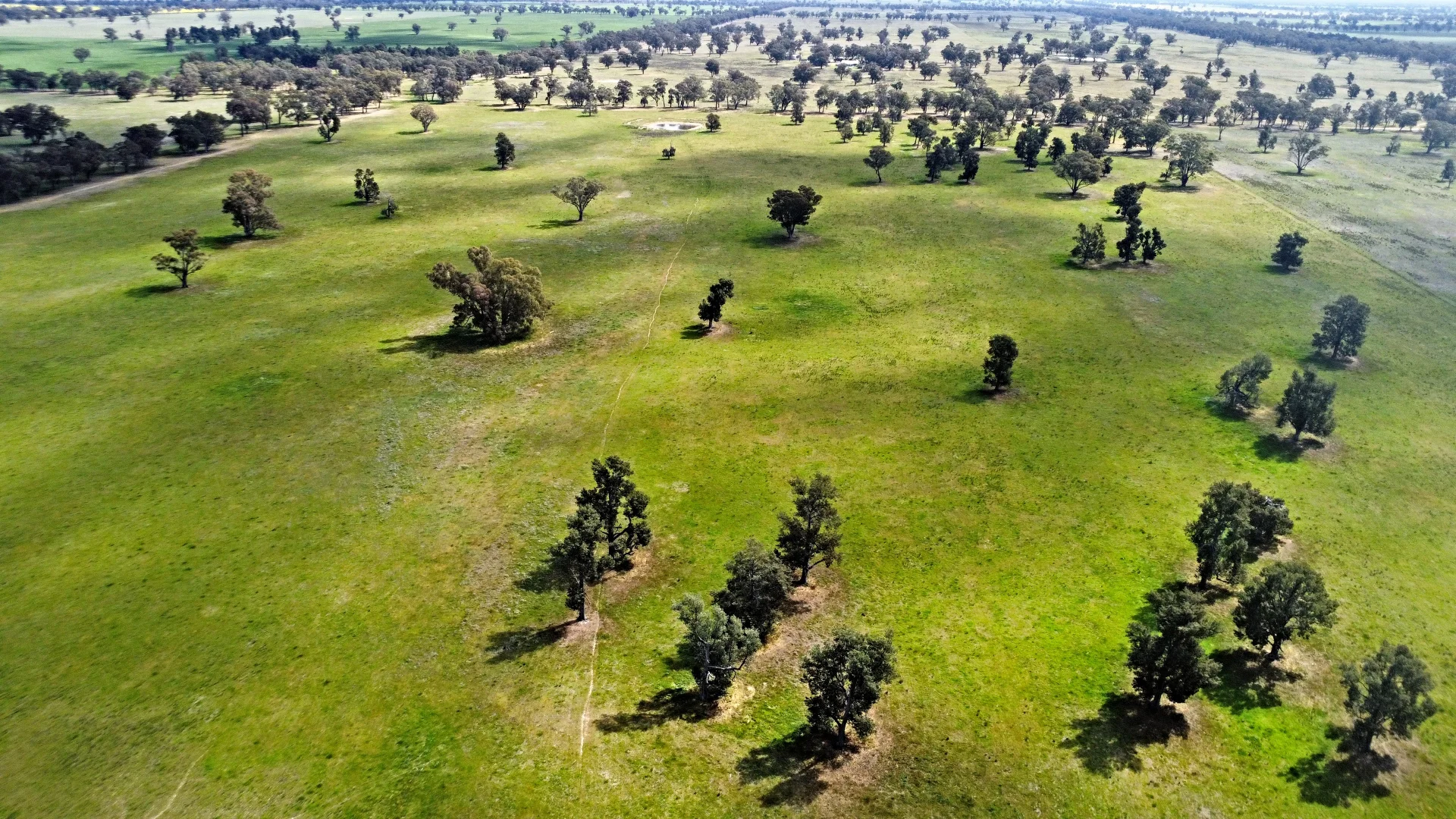 Additional image 28 of 1843 Yeo Yeo Hampstead Road, Young NSW 2594