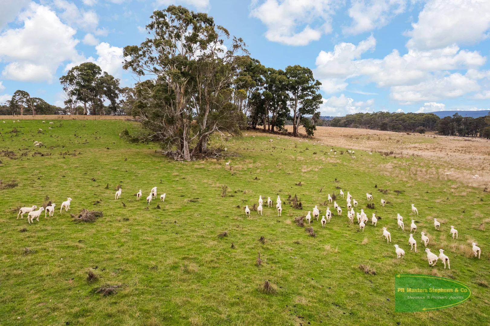 Additional image 12 of 800 Riverview Forest Road, Mozart NSW 2787