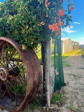 Additional image 11 of 28 Atkinson Crescent, Kalbarri WA 6536