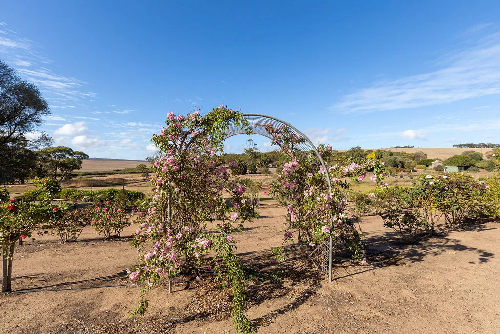 Additional image 30 of 52 Howards Road, Koppio SA 5607