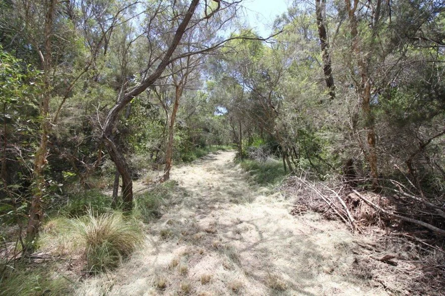 Additional image 26 of 9 Coe Road, Deepwater QLD 4674