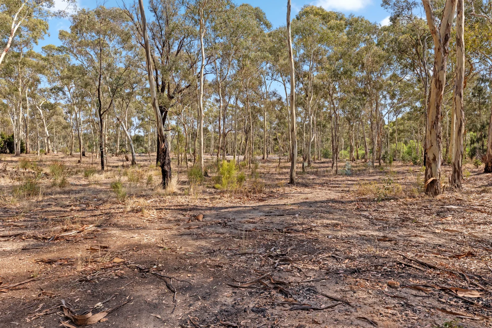 Additional image 5 of 16-20 Williams Road, Myers Flat VIC 3556