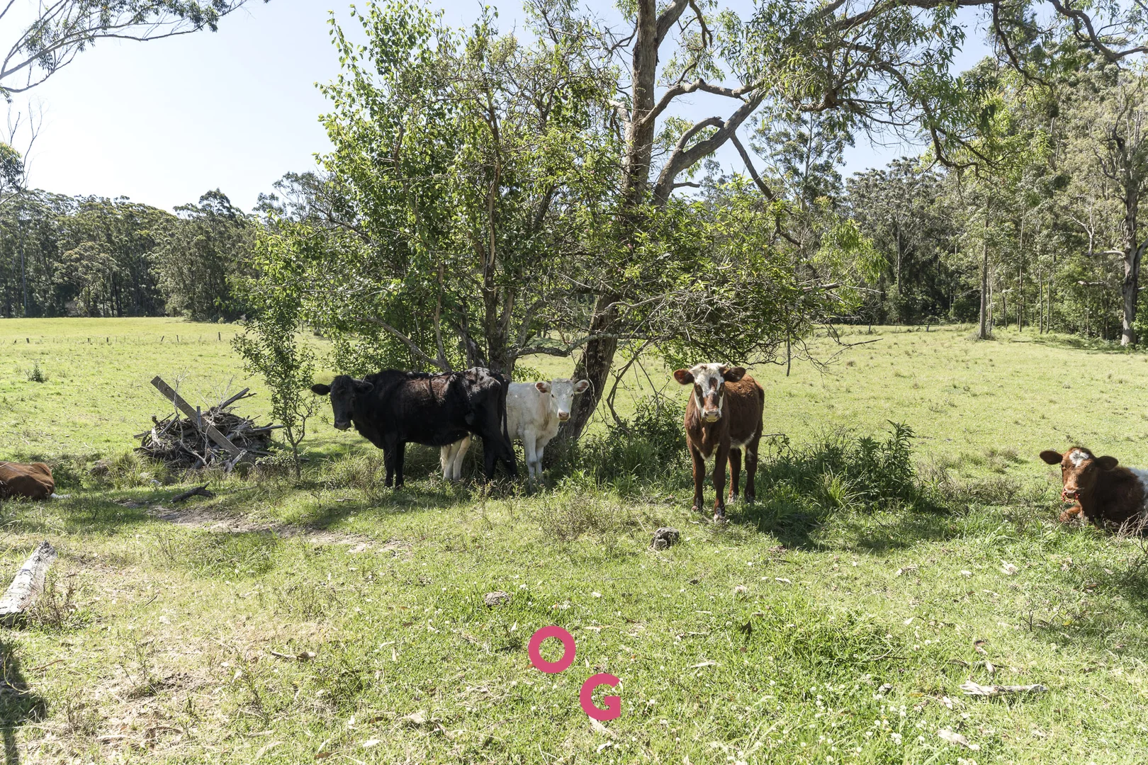 Additional image 41 of 136 Limeburners Creek Road, Limeburners Creek NSW 2324