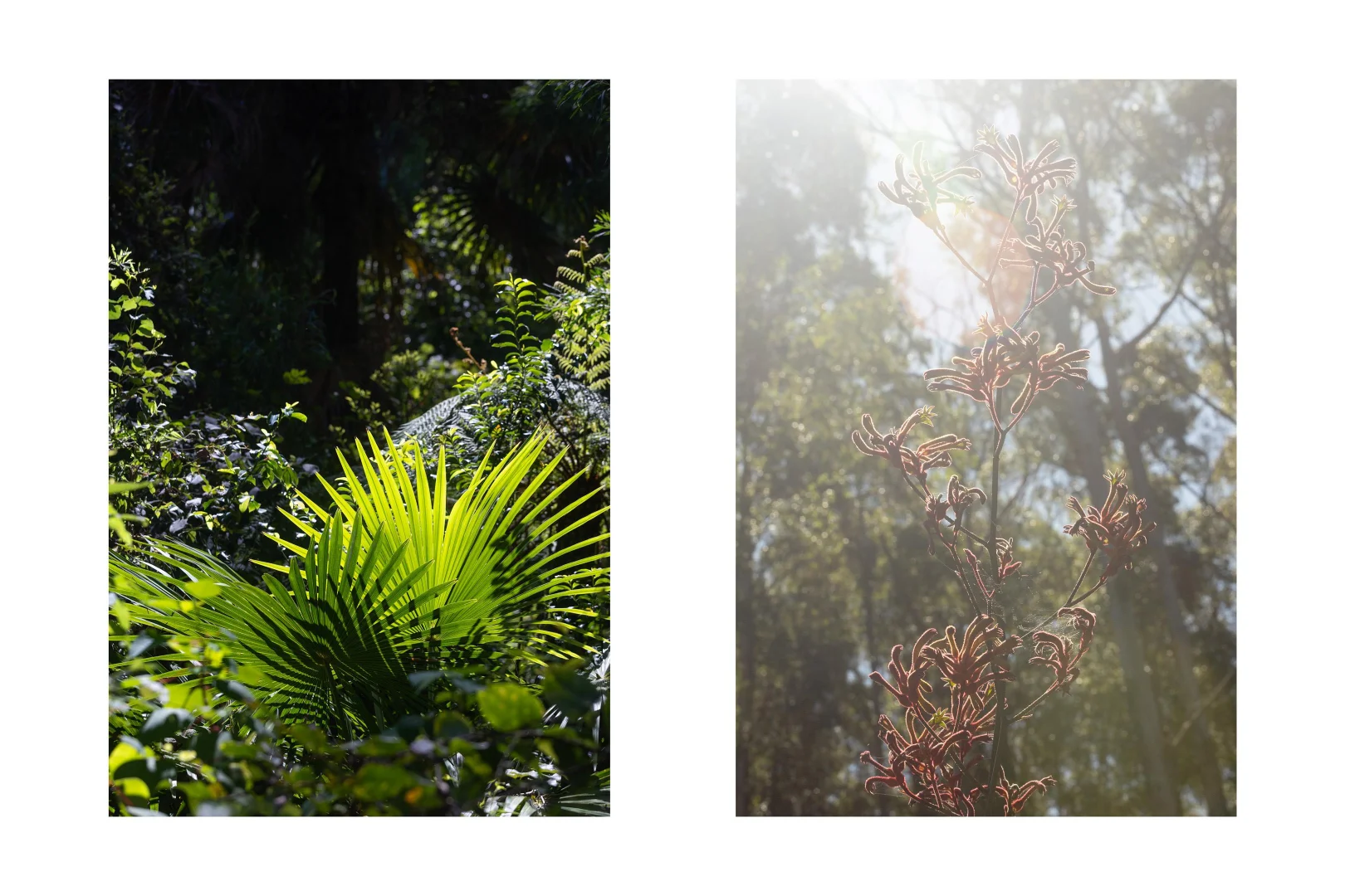 Additional image 41 of 111B Termeil School Road, Termeil NSW 2539