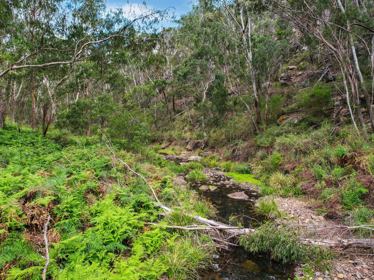 Additional image 23 of 49 Binghams Lane, Tallong NSW 2579