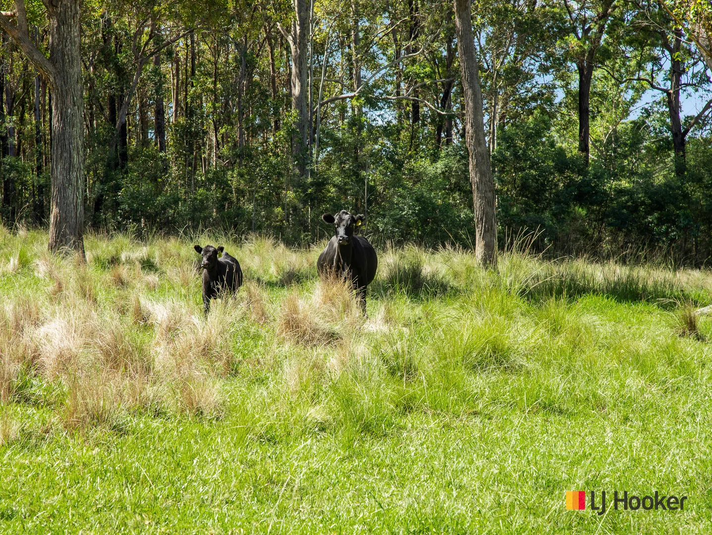 Additional image 24 of 953 The River Road, Currowan NSW 2536