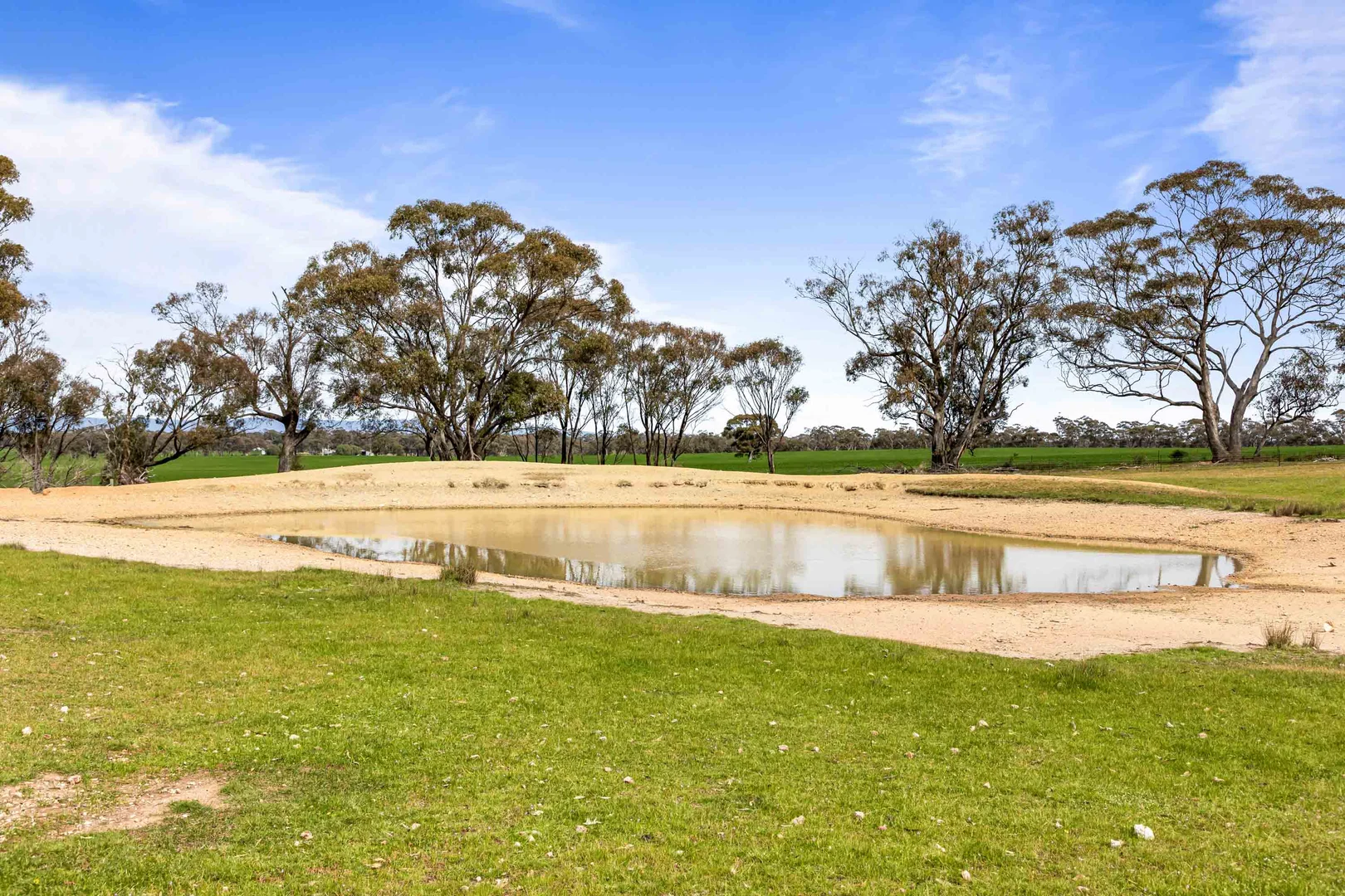 Additional image 8 of 140 Pearce Road, Campbells Bridge VIC 3387