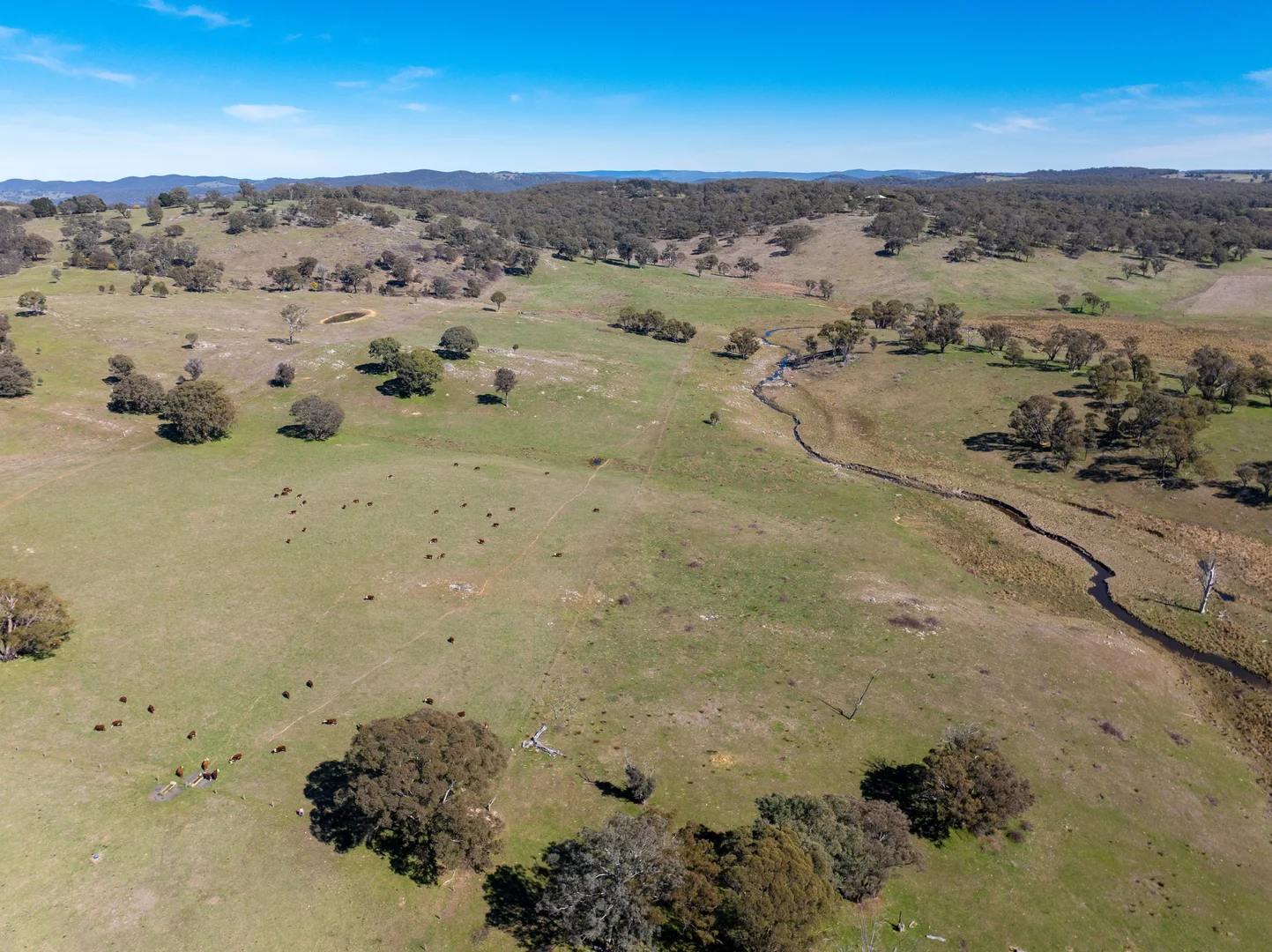 Additional image 22 of 5353 Trunkey Road, Trunkey Creek NSW 2795