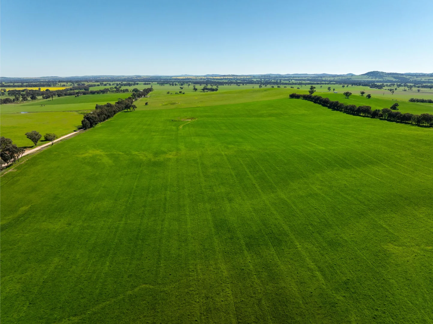 Additional image 19 of 272 Bulloc Hill Road, Mangoplah NSW 2652