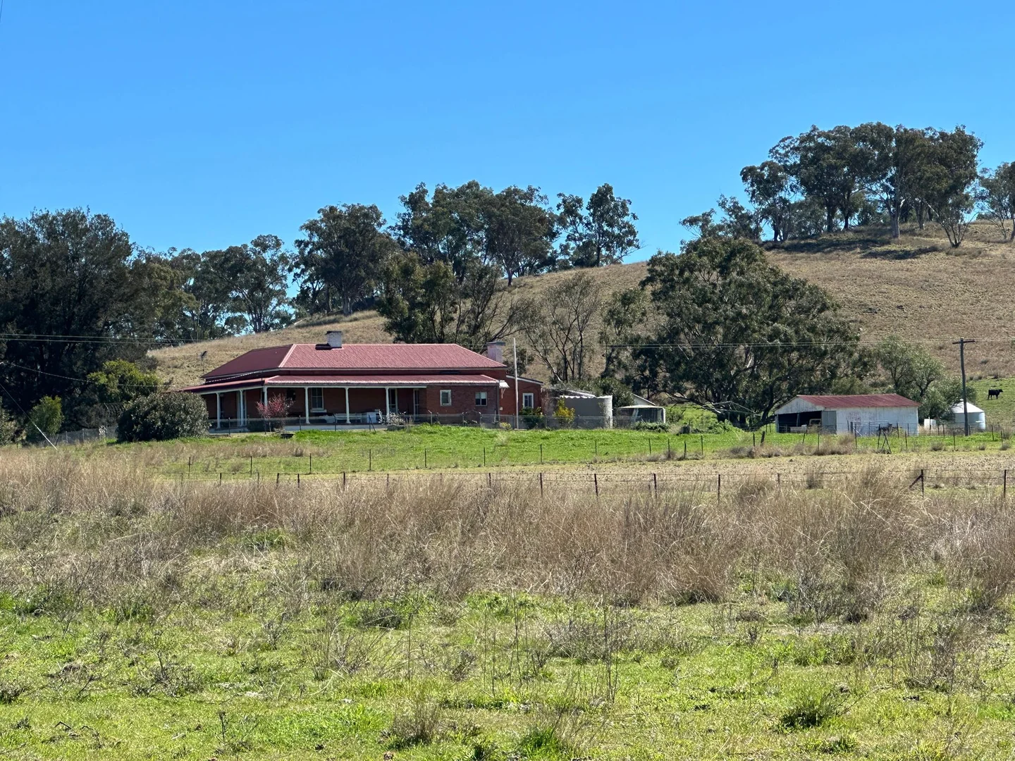 Additional image 19 of 2991 Halls Creek Road, Halls Creek NSW 2346