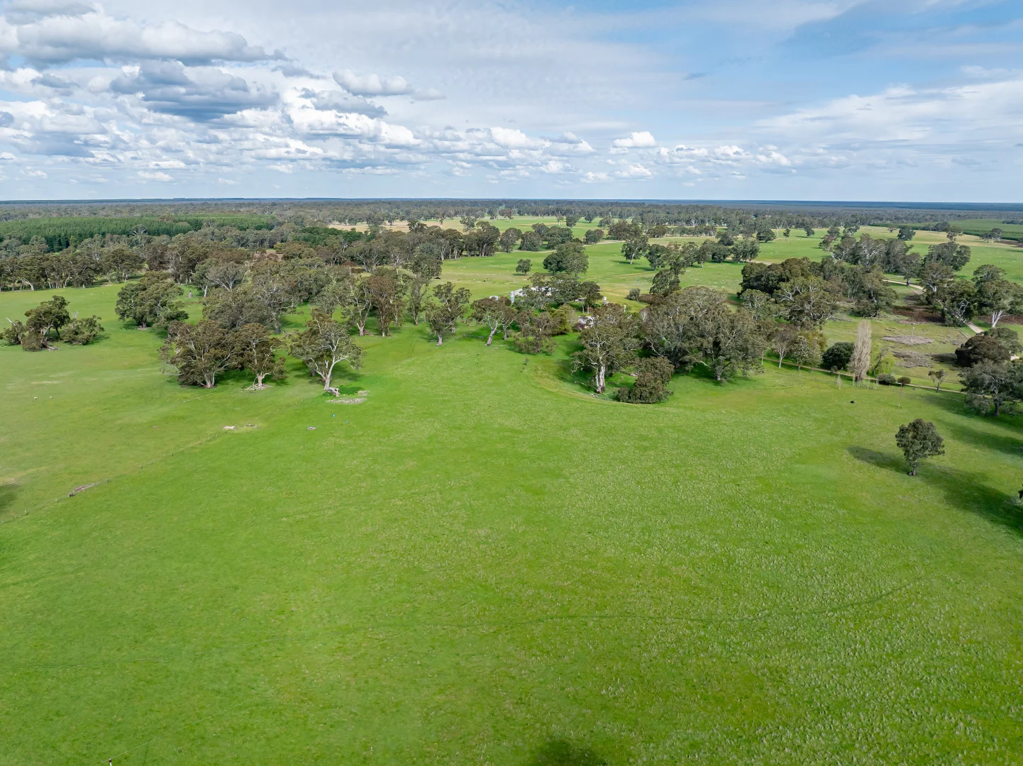 Additional image 24 of 219 Ockley Rd, Comaum SA 5277