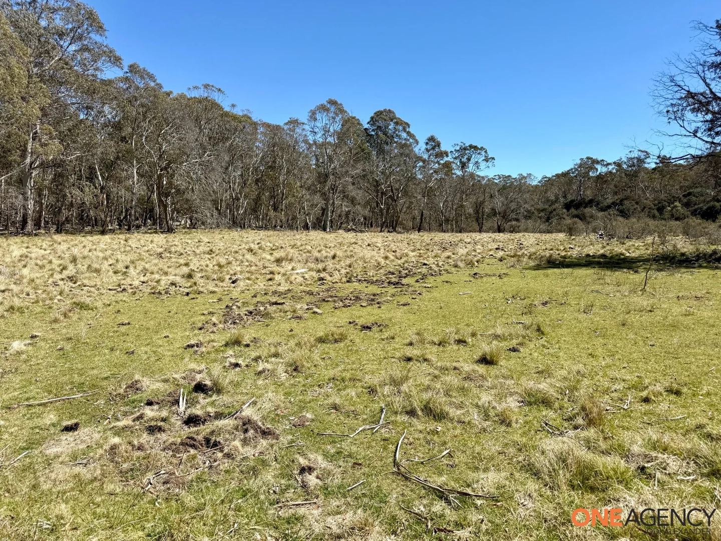 Additional image 4 of Lots 113 & 114 Kydra Firetrail Greenlands Road, Greenlands NSW 2631
