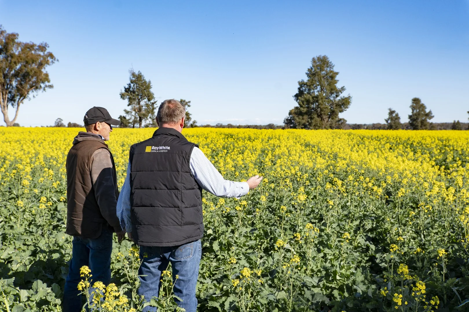 Additional image 20 of 2244 Berrigan Road, Berrigan NSW 2712