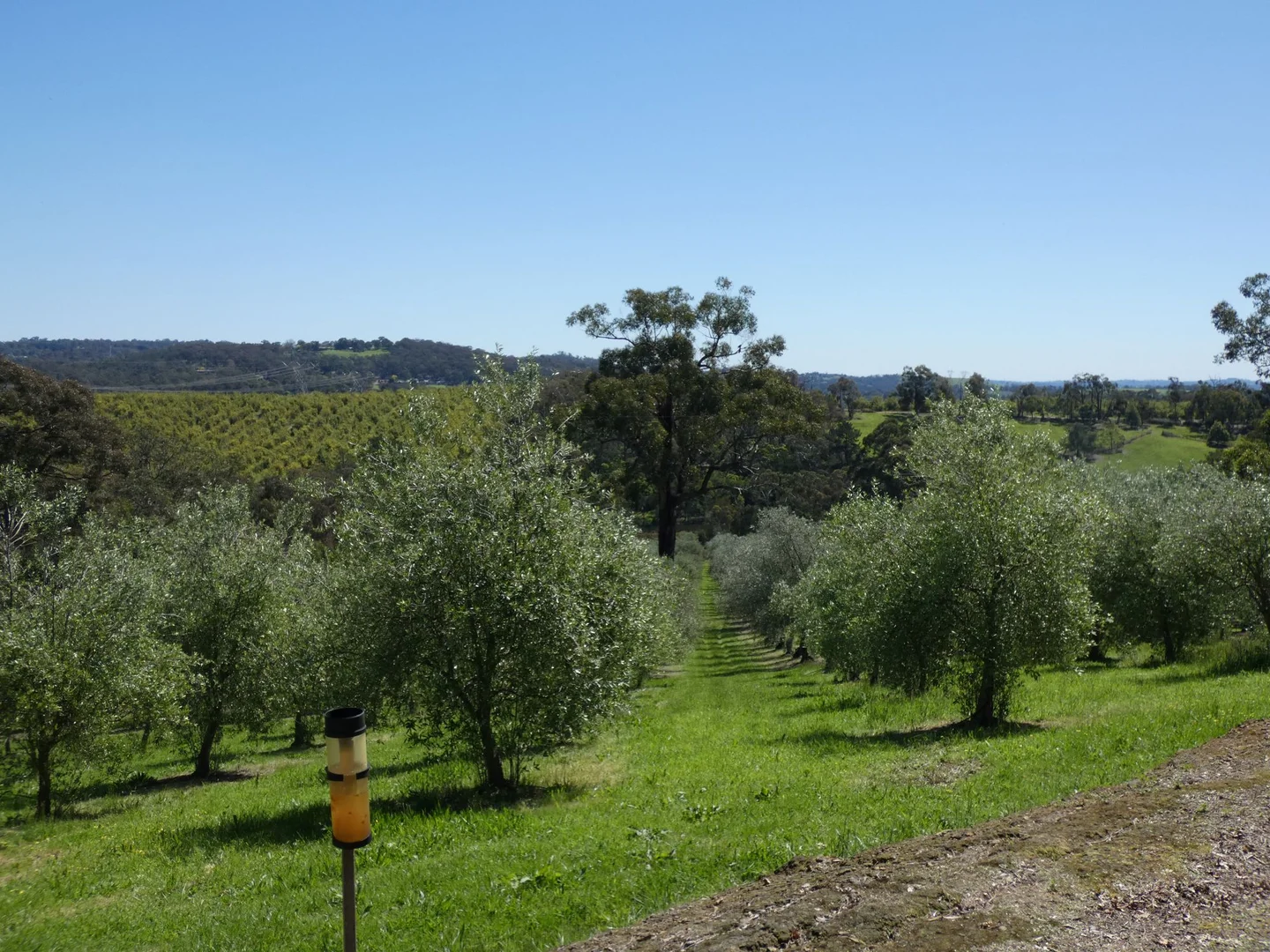 Additional image 22 of 21 Gruyere Road, Gruyere VIC 3770