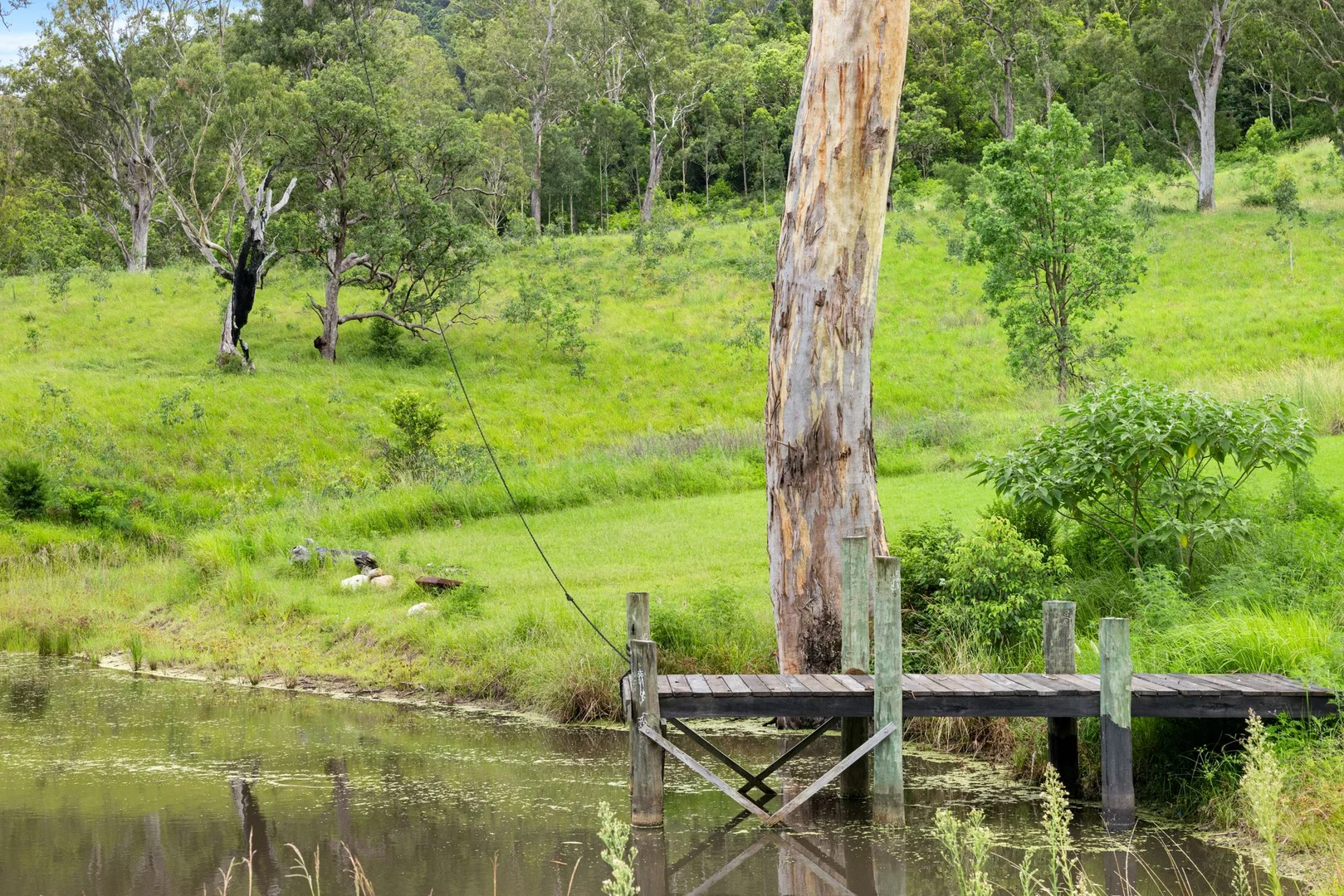 Additional image 20 of 154 Sawpit Creek Road, Findon Creek NSW 2474