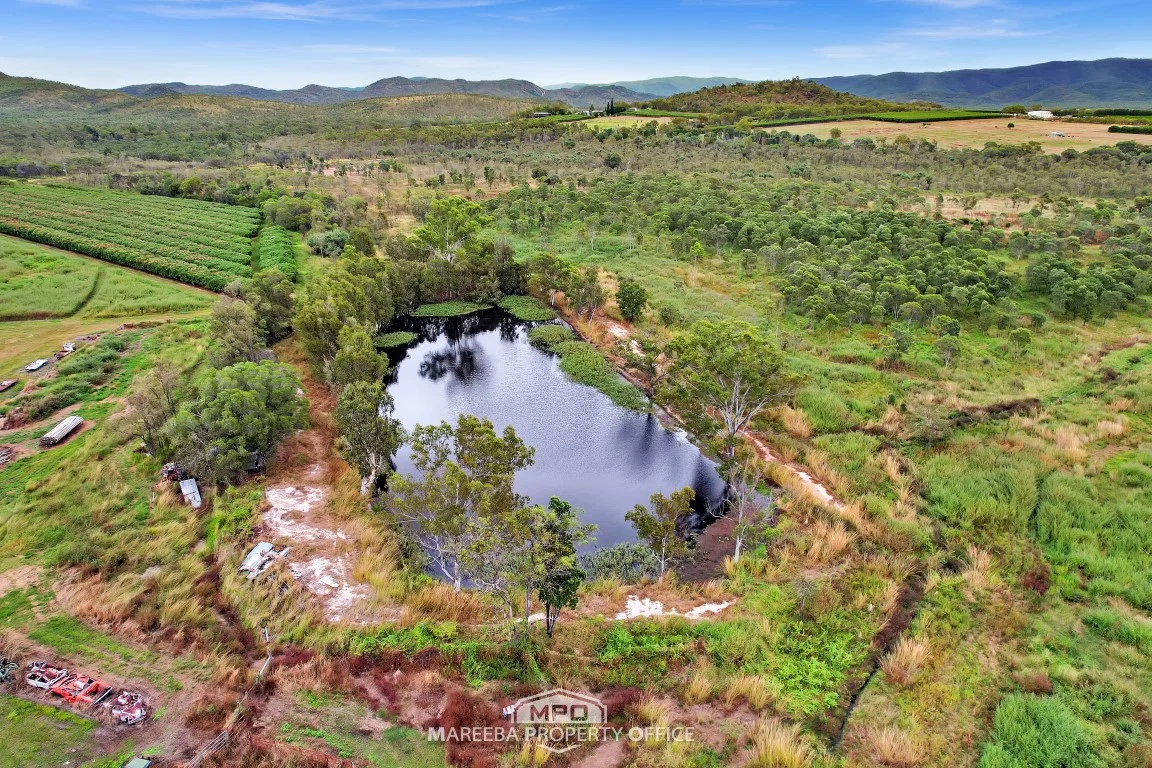 Additional image 17 of 994 Leafgold Weir Road, Dimbulah QLD 4872