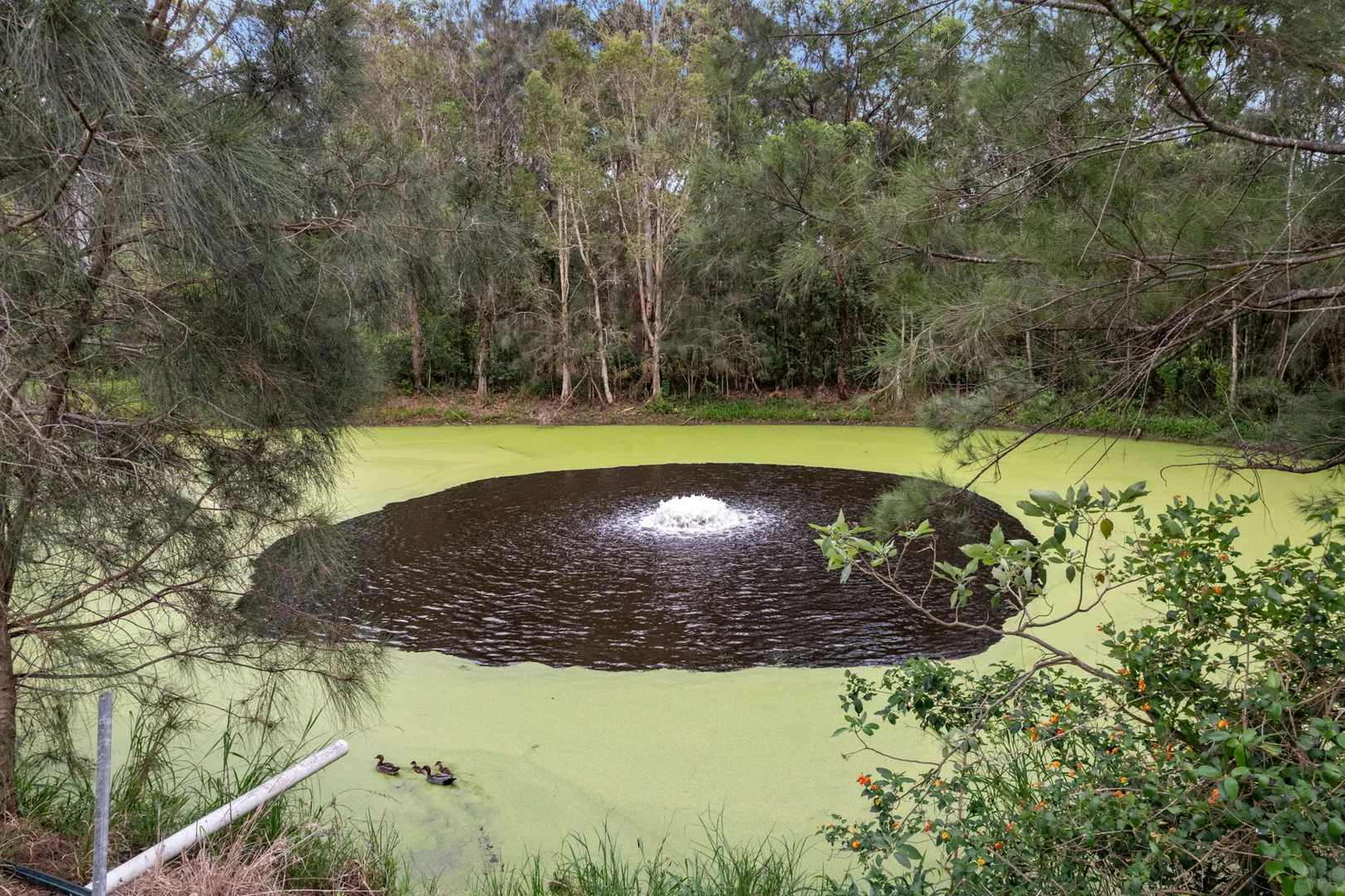 Additional image 30 of 26 Saye Close, Sandy Beach NSW 2456