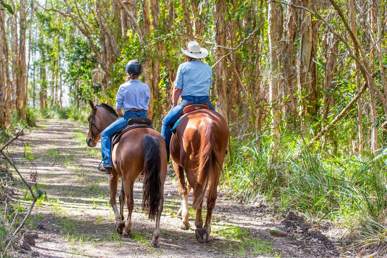 Additional image 31 of 155 Clarendon Road, Peregian Beach QLD 4573
