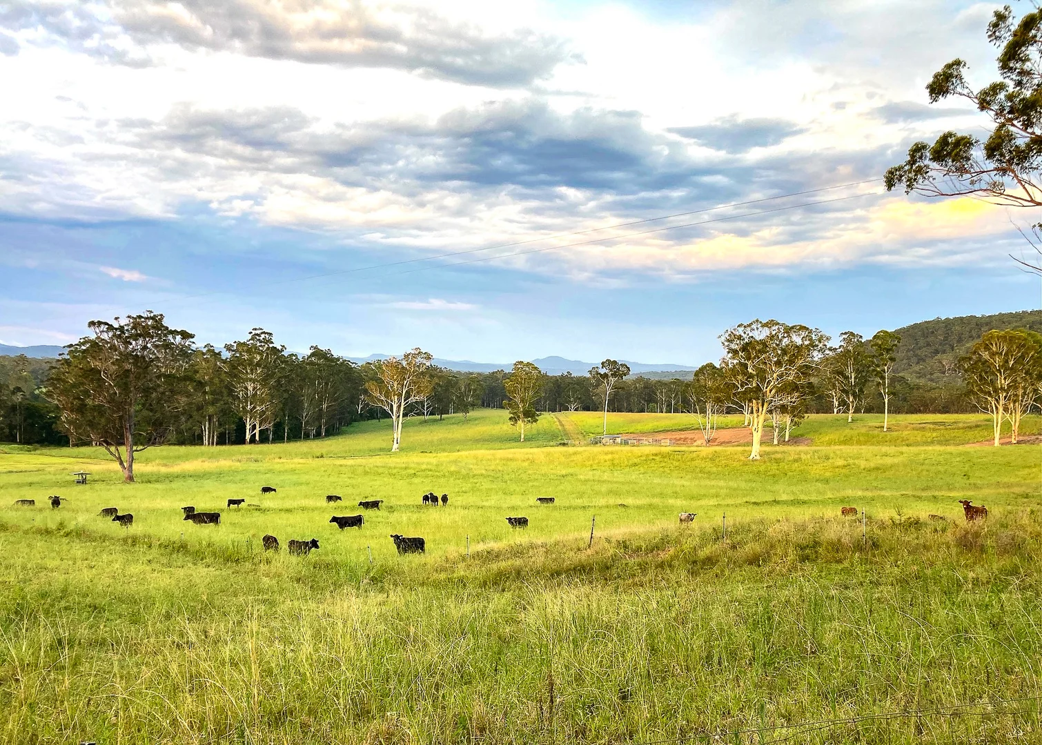 Additional image 28 of 696 Kungala Road, Kungala NSW 2460