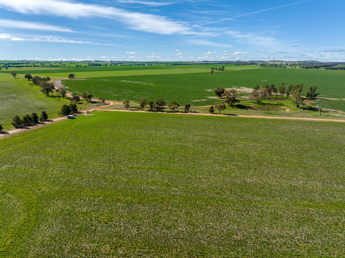 Additional image 23 of 2214 Coolamon Road, Coolamon NSW 2701